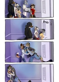 3 Dog Night: Elevator