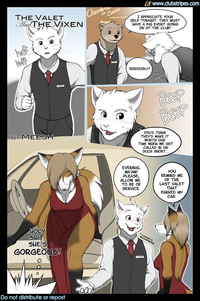 The Valet and the Vixen 1 cover