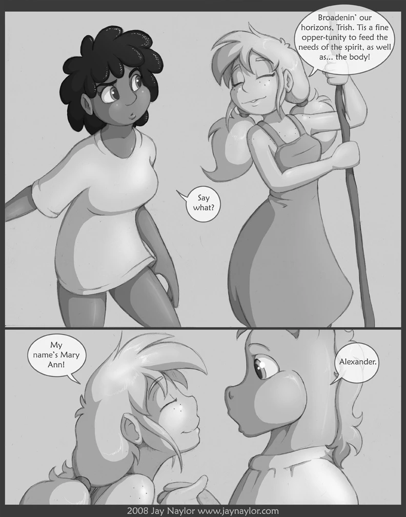 The Adventures of Huckleberry Ann - Chapter 4 — page 5
