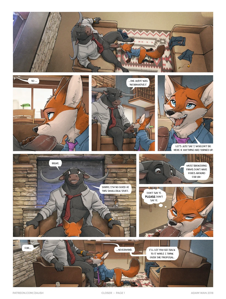 Closer cover