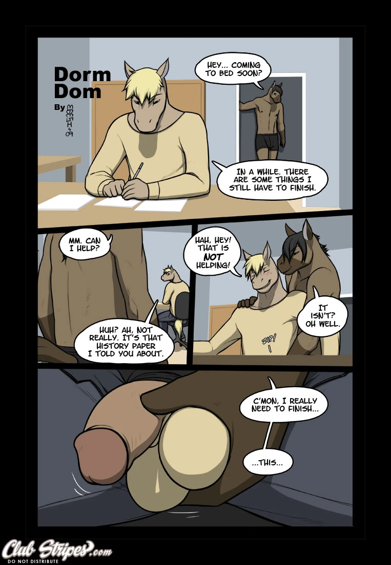 Dorm Dom cover