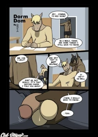 Dorm Dom