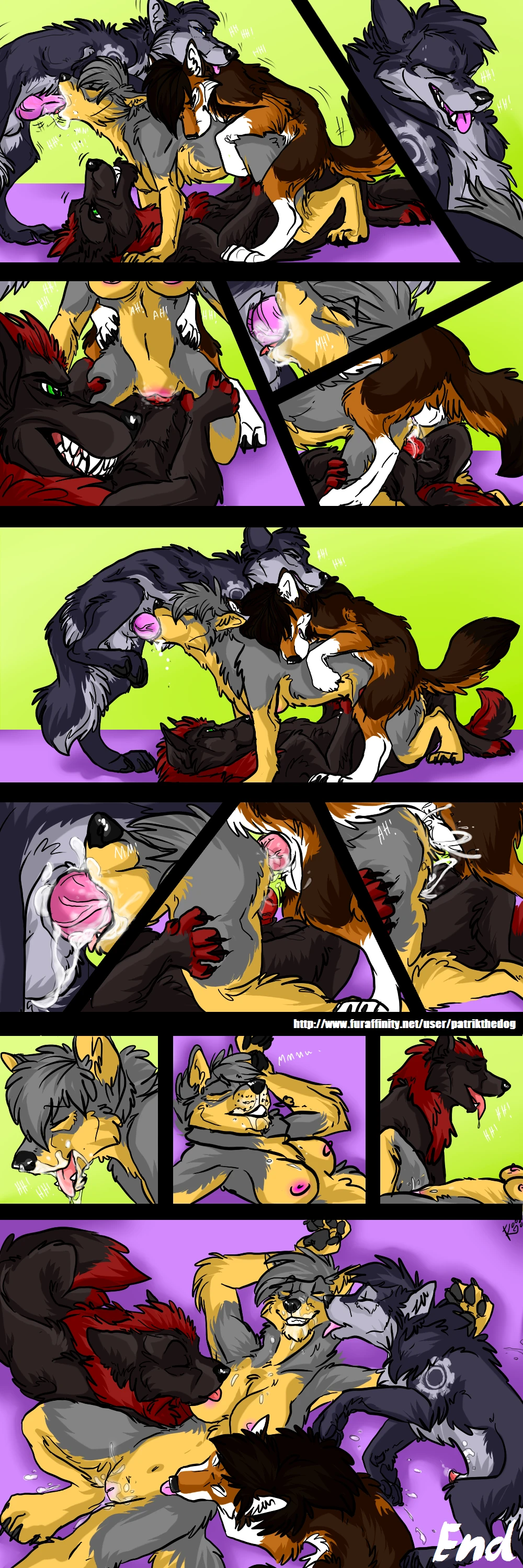 Lili Dog Volunteer — page 5
