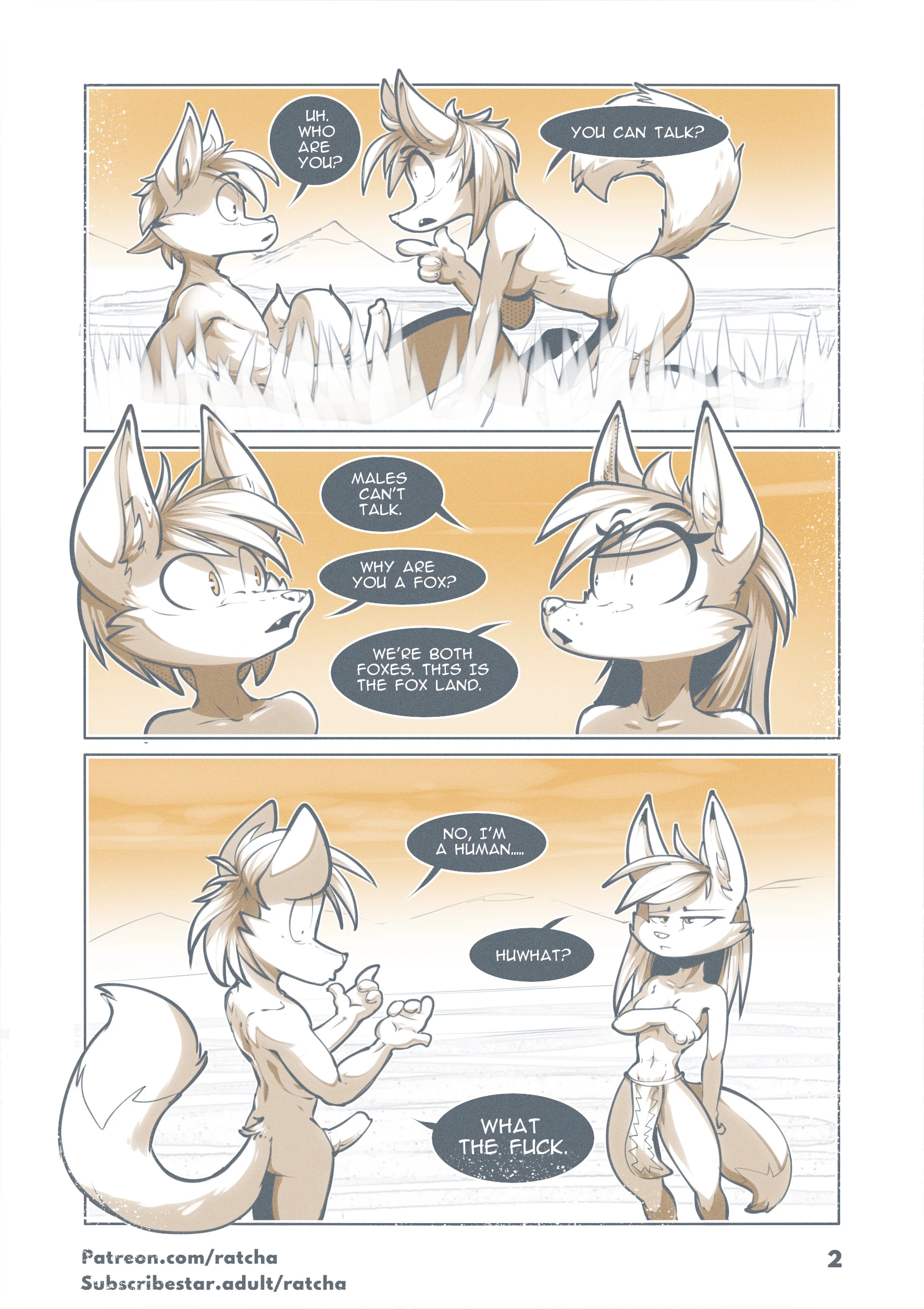 Reincarnated in Another World as a Furry Fox — page 1