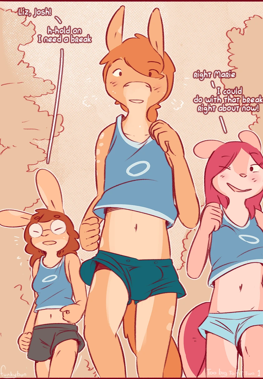 Too Big to Fit Two cover