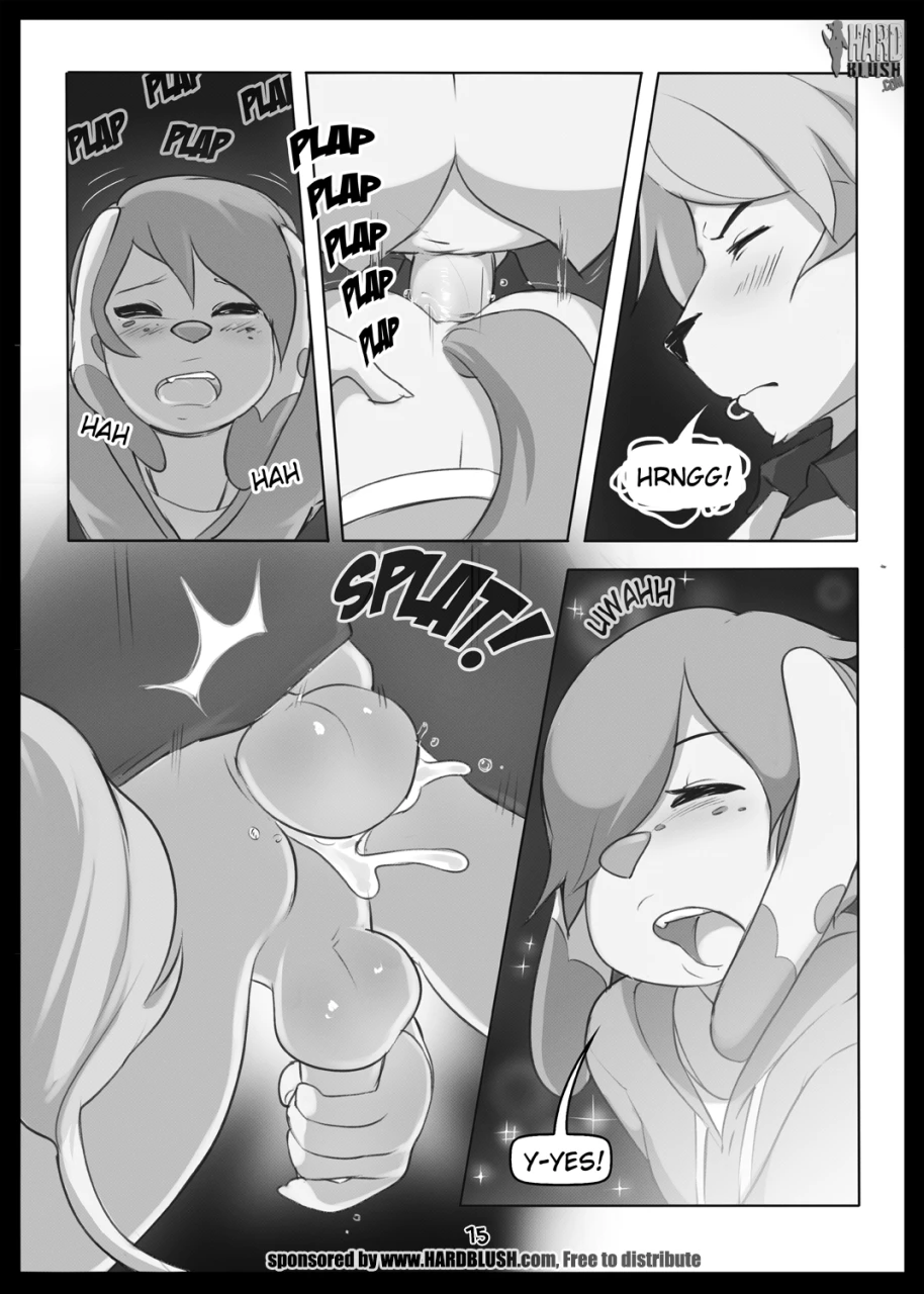 Projections — page 14