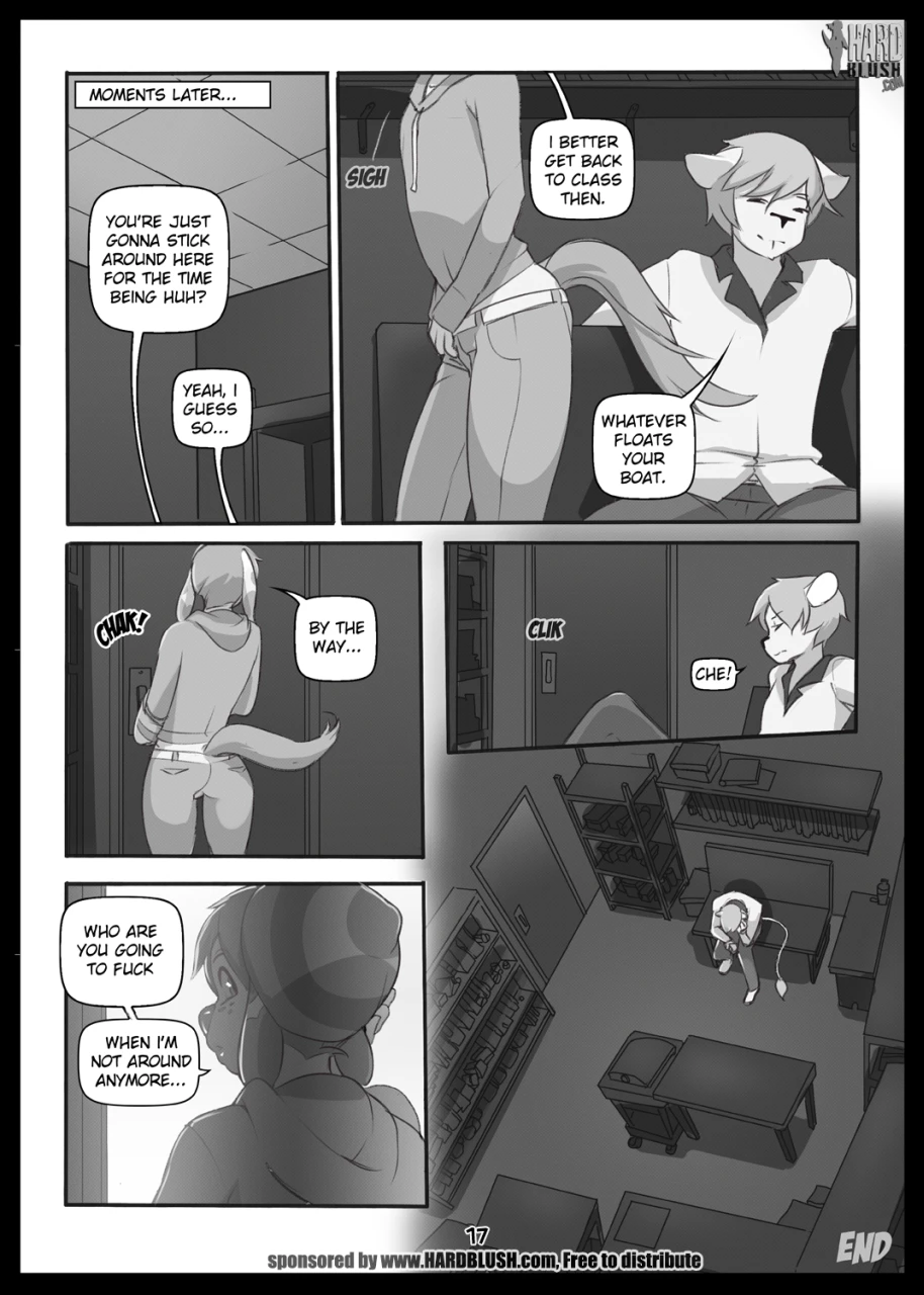 Projections — page 16