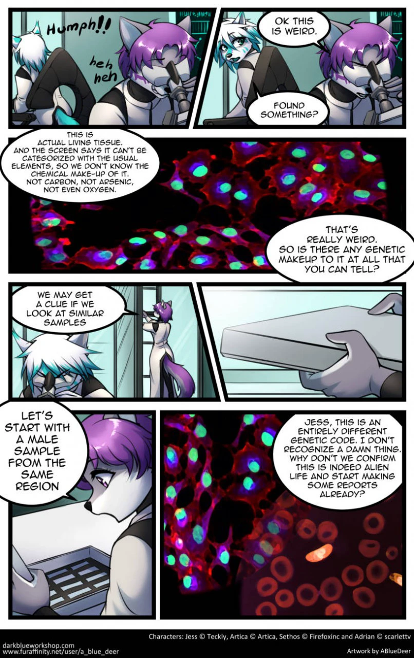 Entity — page 7