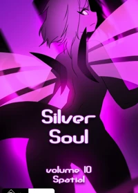 Silver Soul Volume 10 - Spatial
