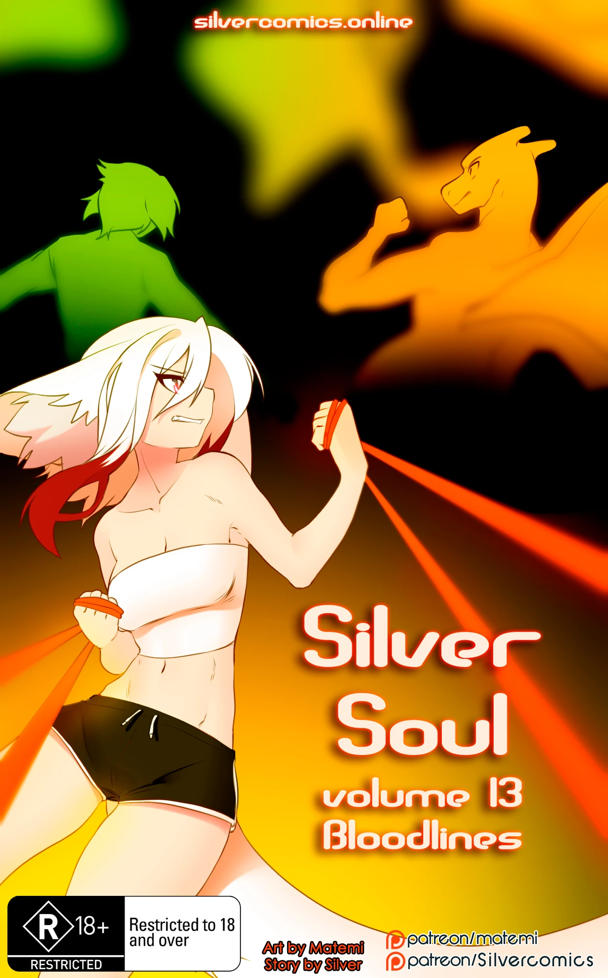 Silver Soul Volume 13 - Bloodlines cover