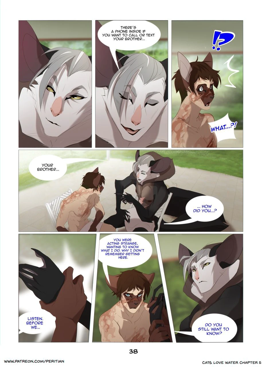 Cats Love Water 5 — page 38