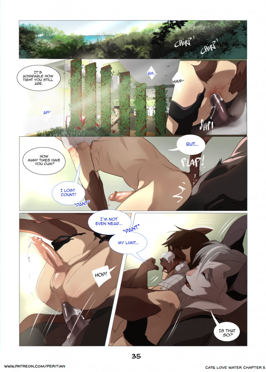 Cats Love Water 5 — page 35