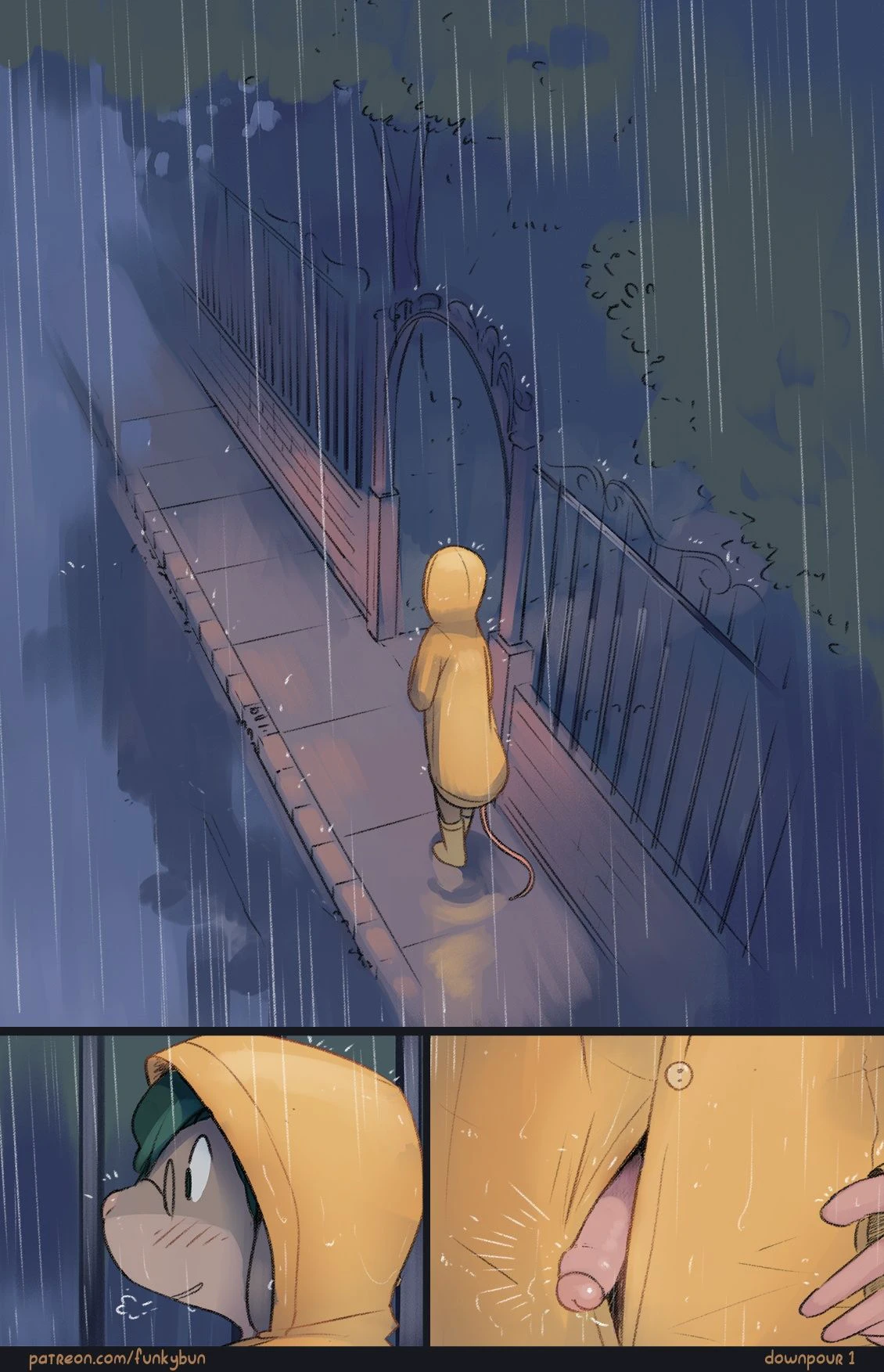 Downpour cover