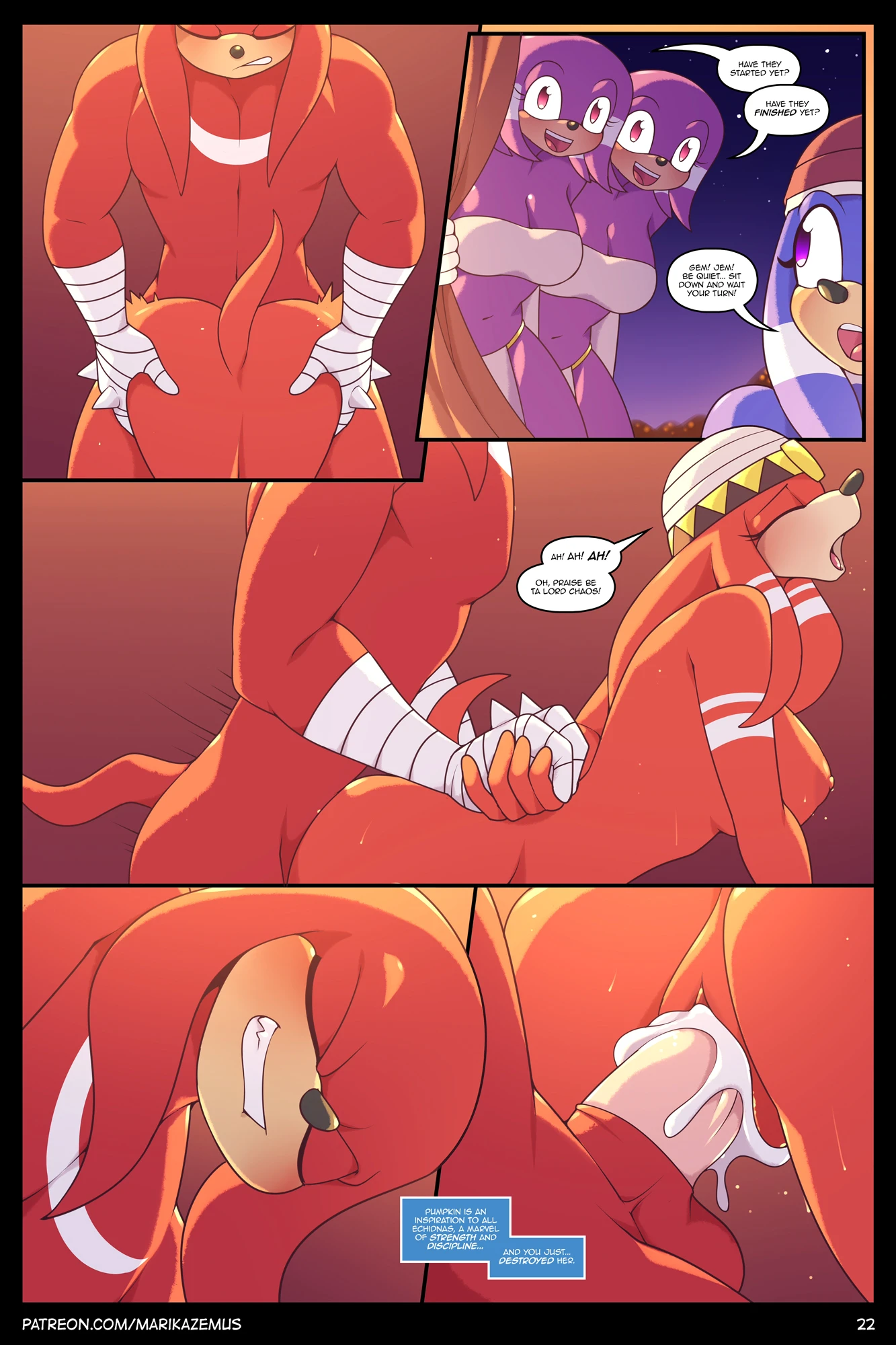Sonic Boom: Echidna Nights — page 23