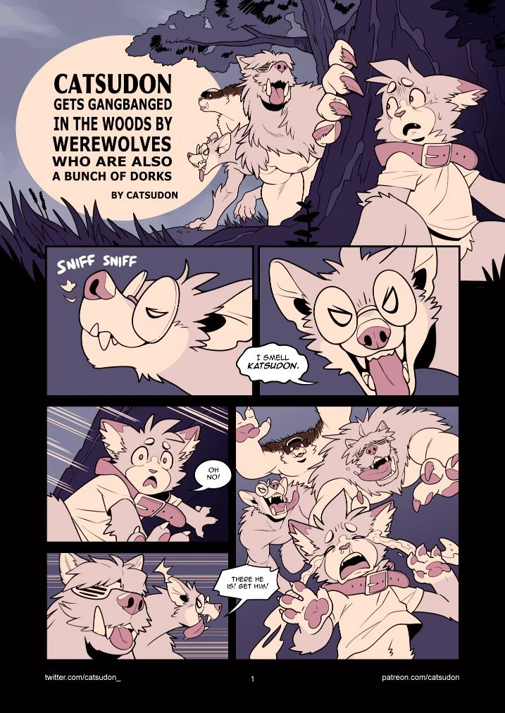 Catsudon Gets Gangbanged cover