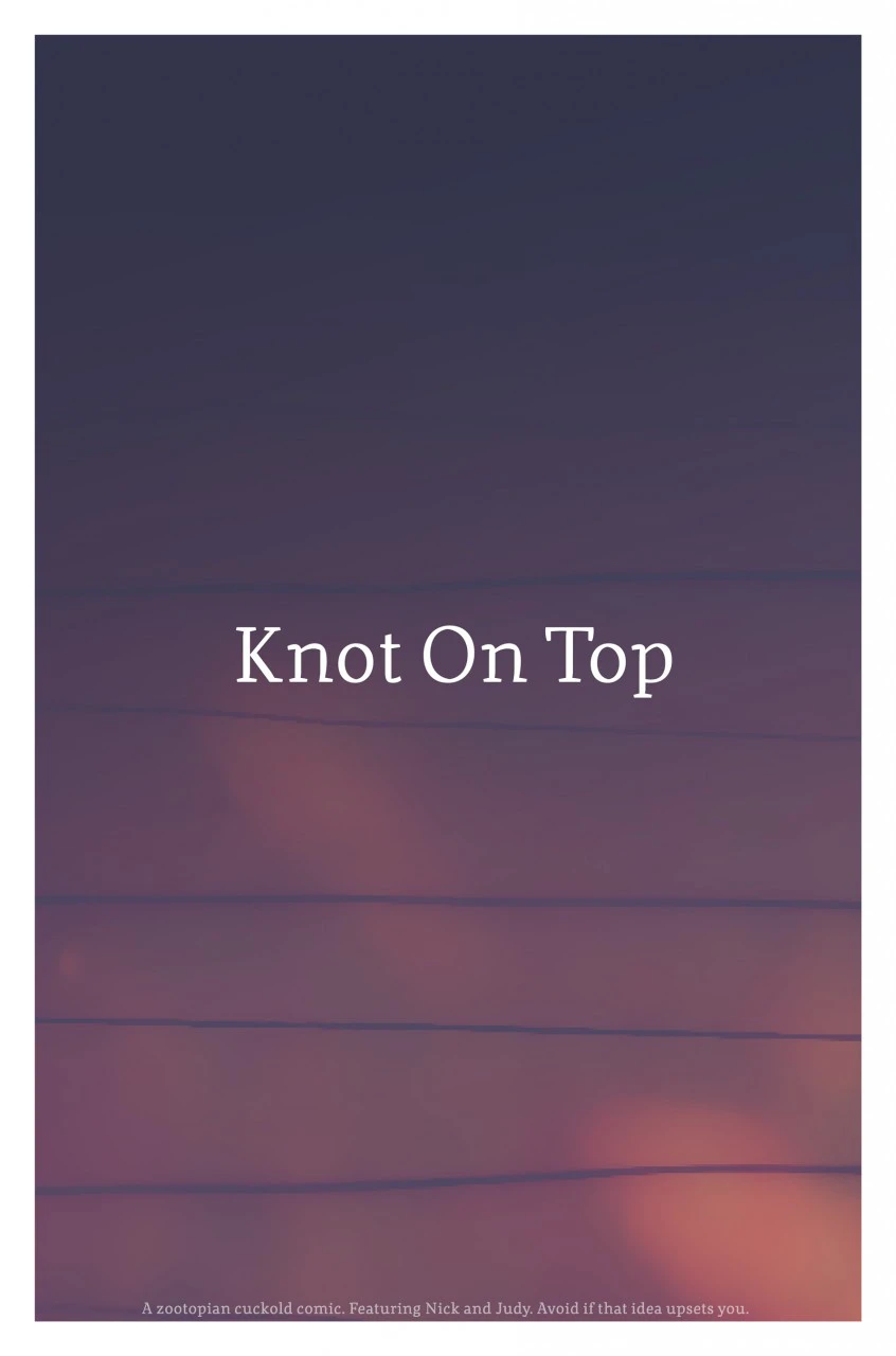 A Zootopia Cucking Comic - Knot on Top cover