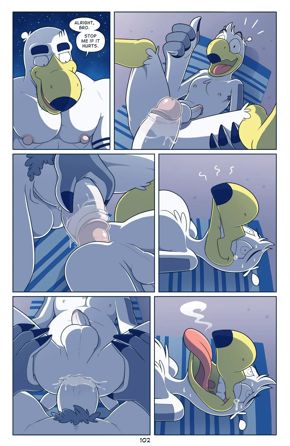 Brogulls — page 102