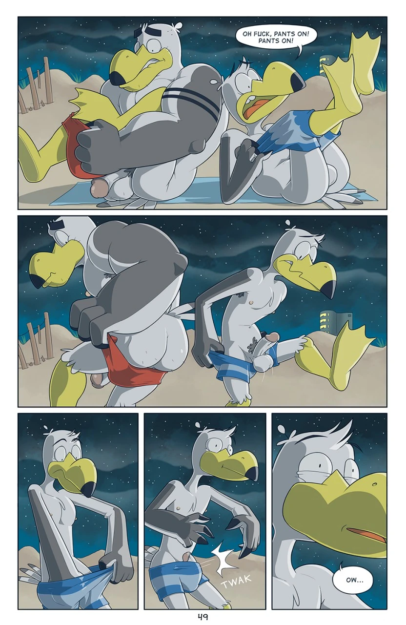 Brogulls — page 49