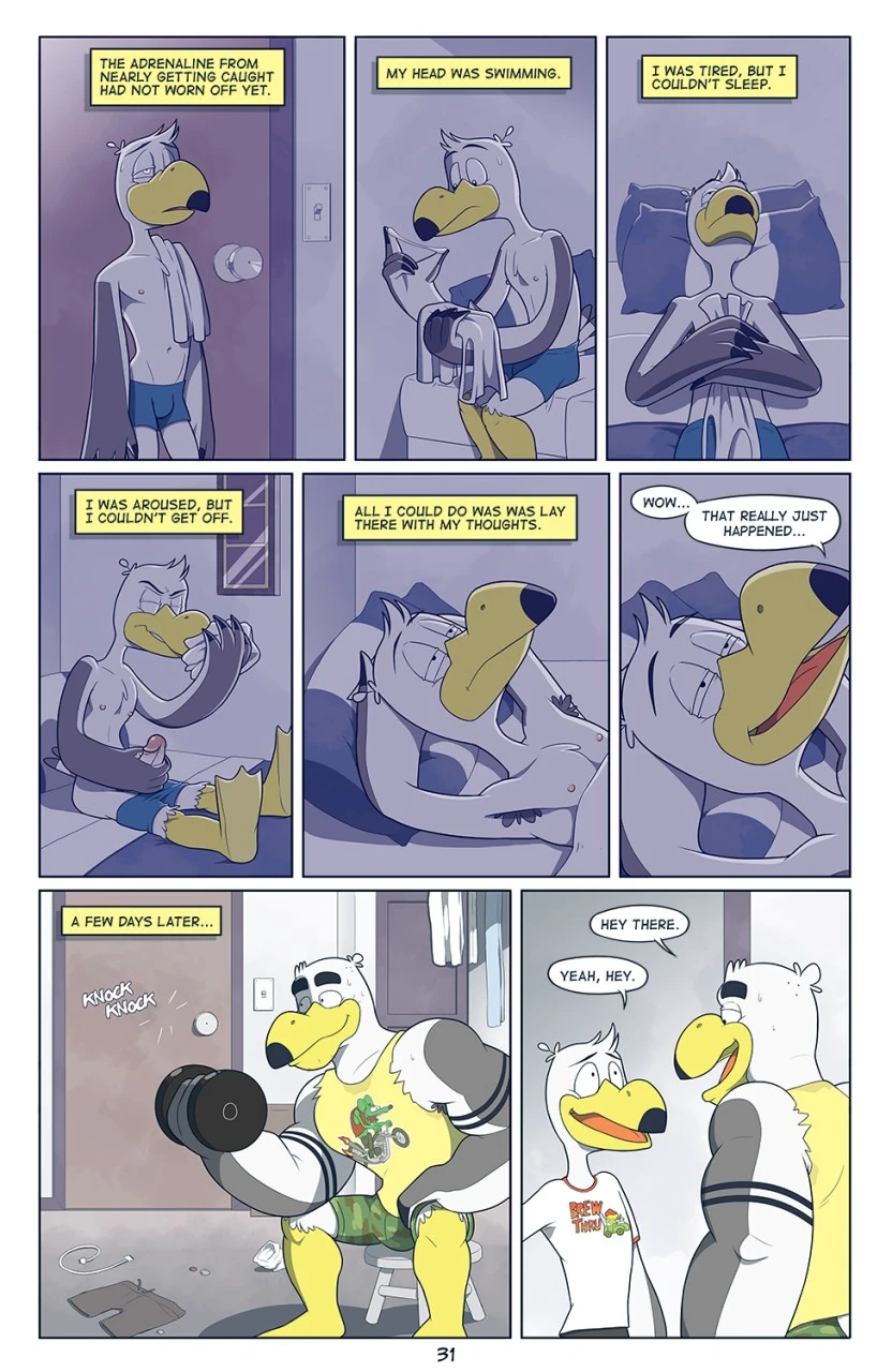 Brogulls — page 31