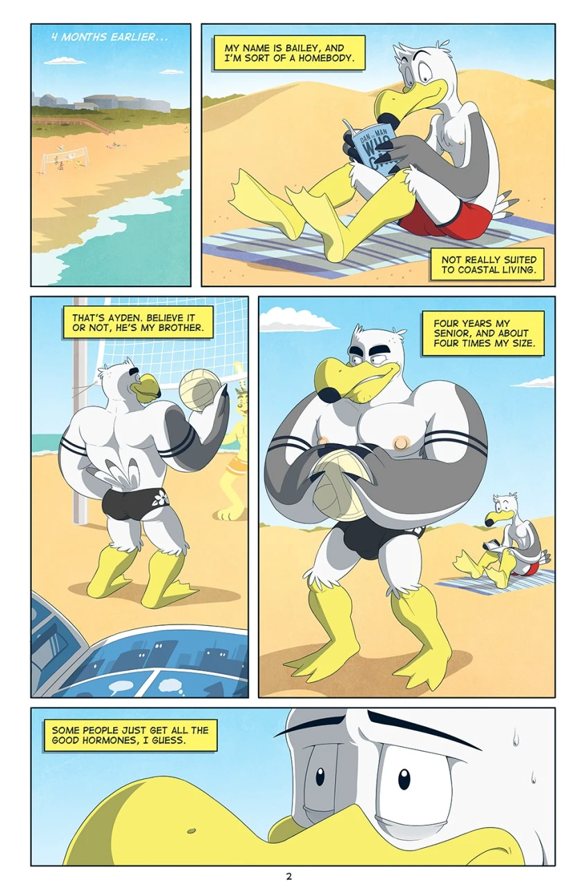 Brogulls — page 2