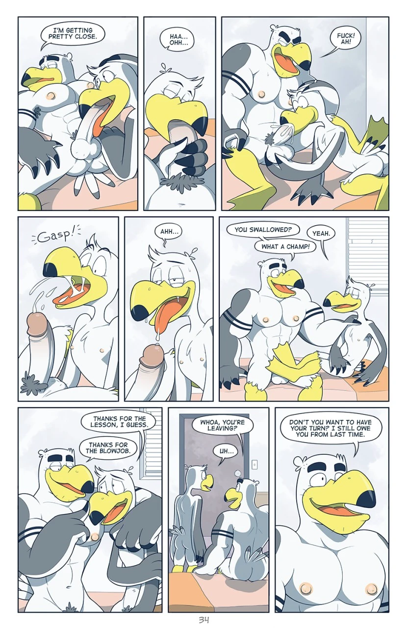 Brogulls — page 34