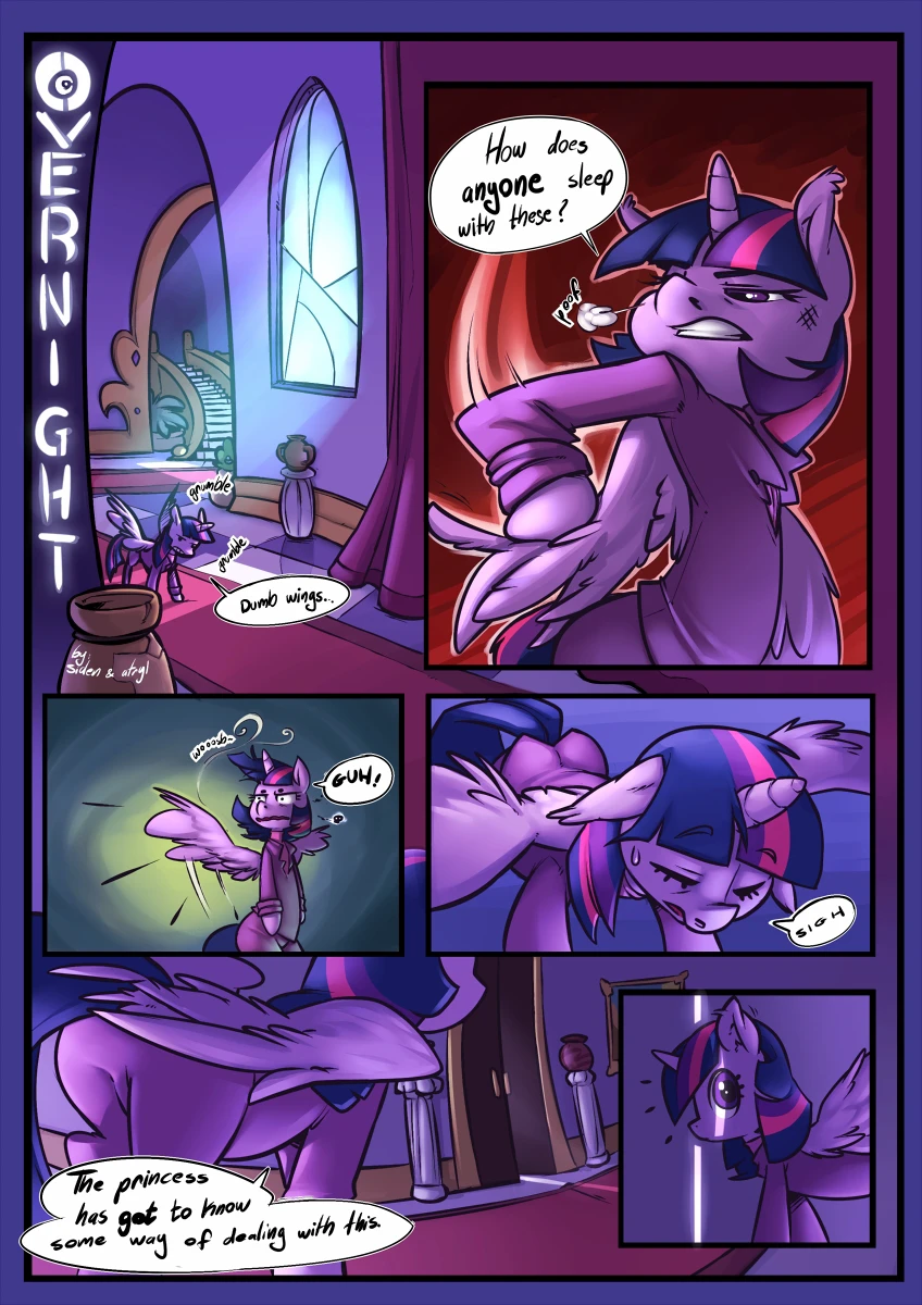 Overnight cover