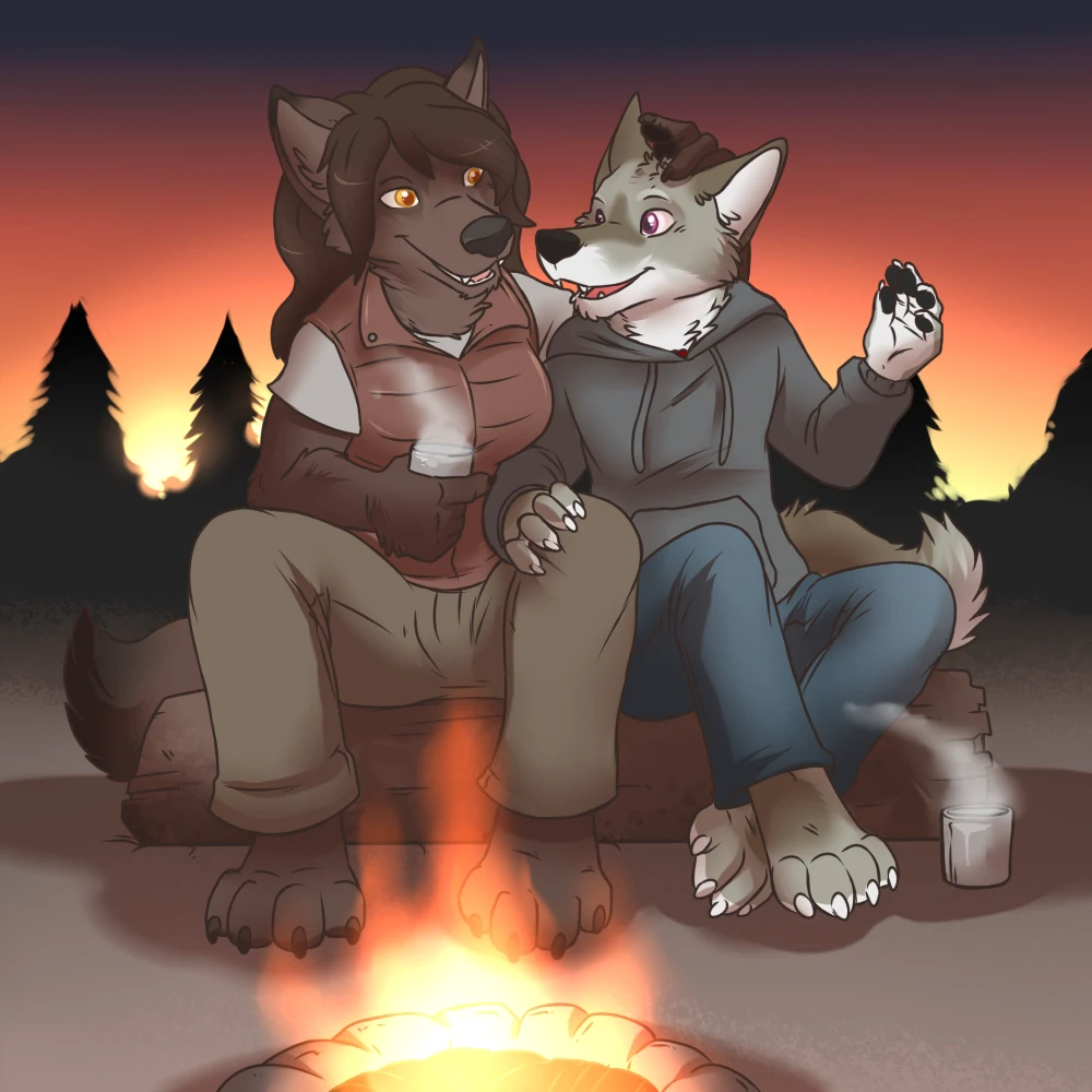 Campfire cover