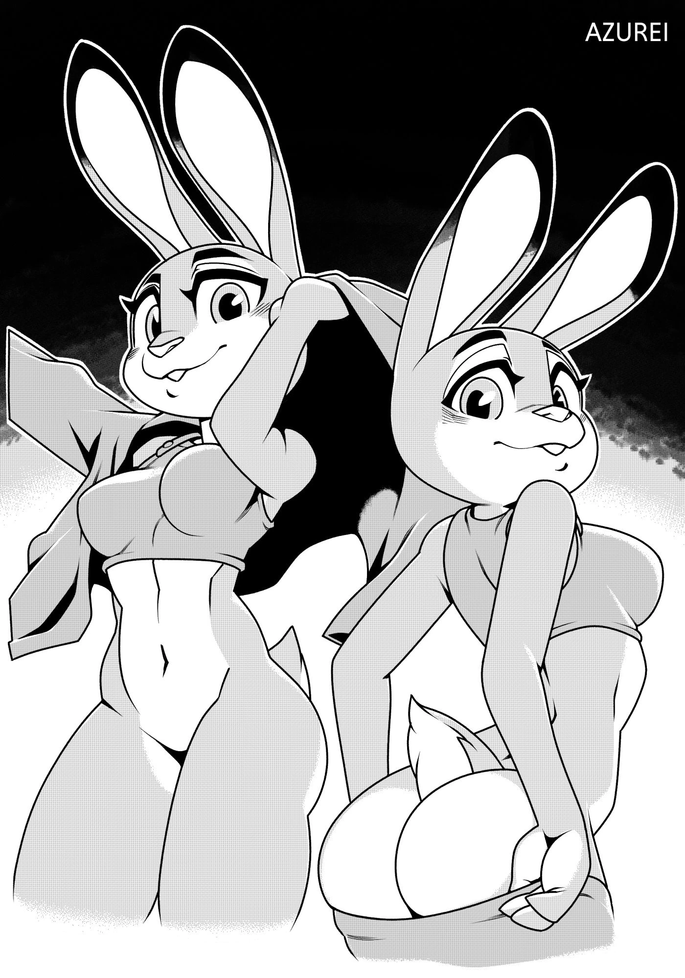 Judy Hopps x Nick Wilde cover