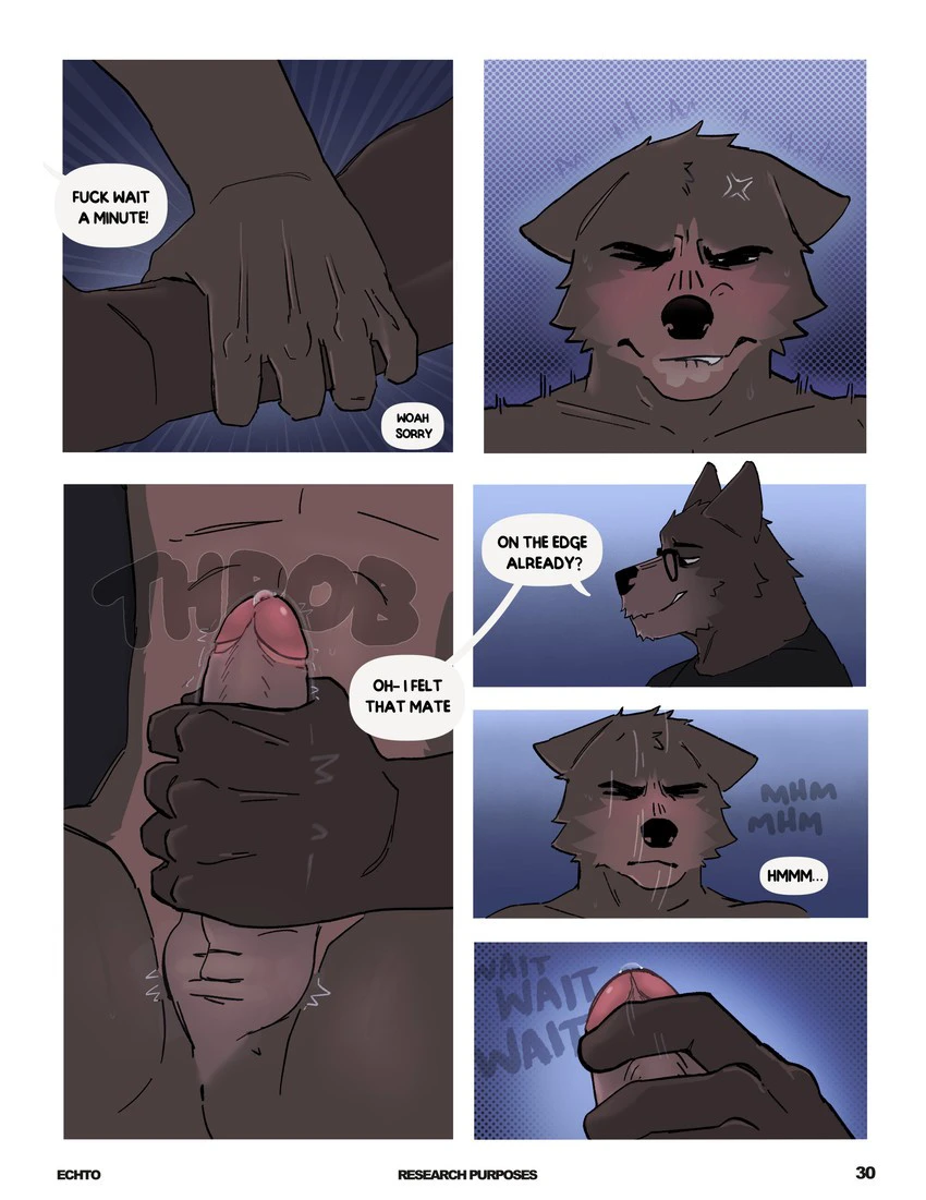 Research Purposes — page 29