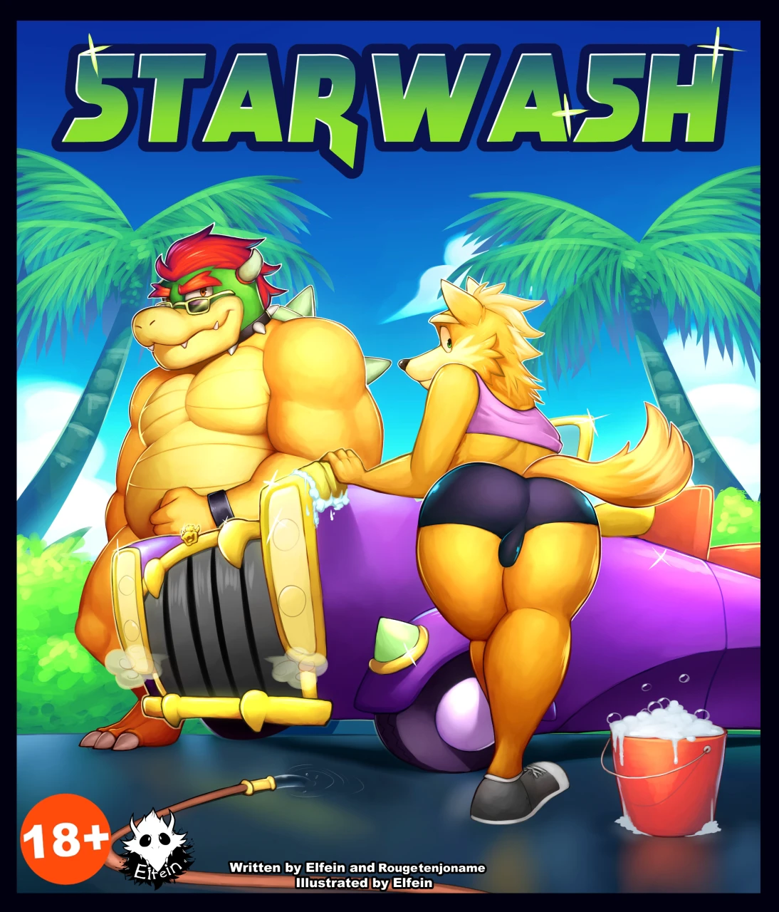 Starwash cover