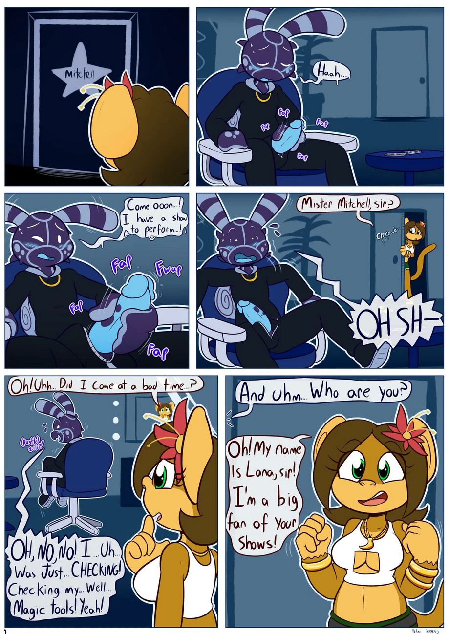 Private Magic Show cover