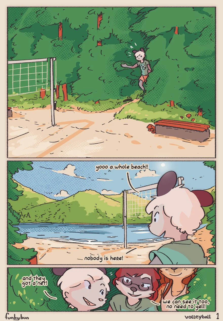 Volleyball cover