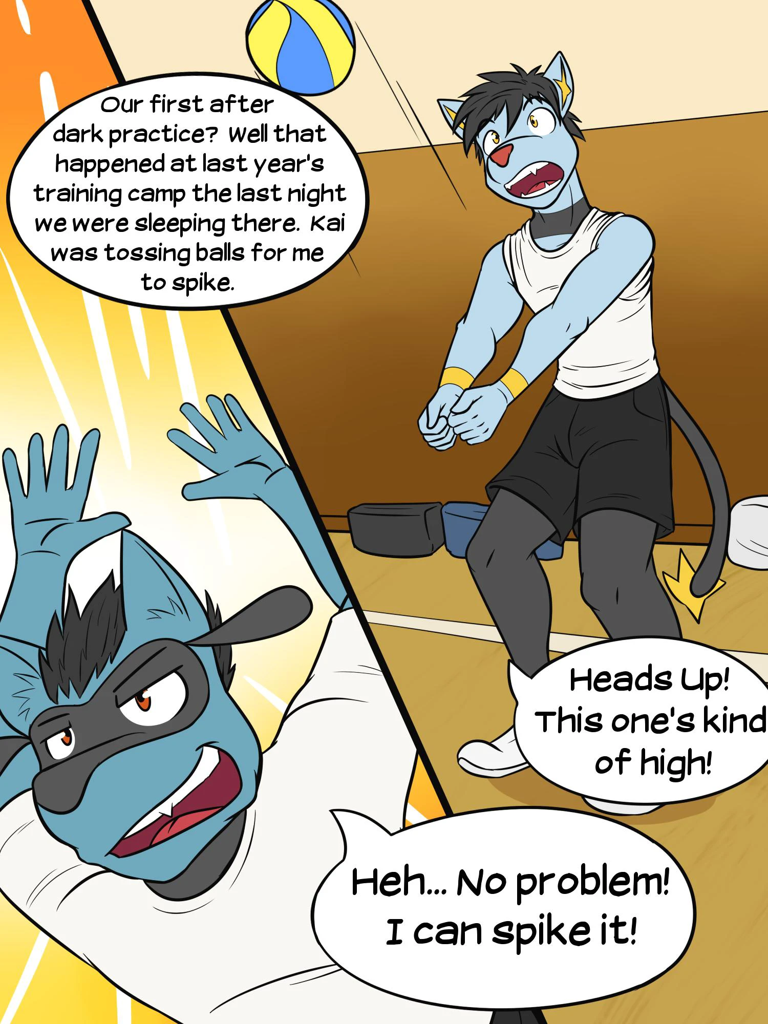 Pokéballers: Penalty Match cover