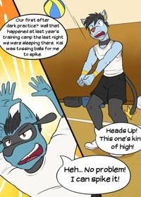 Pokéballers: Penalty Match