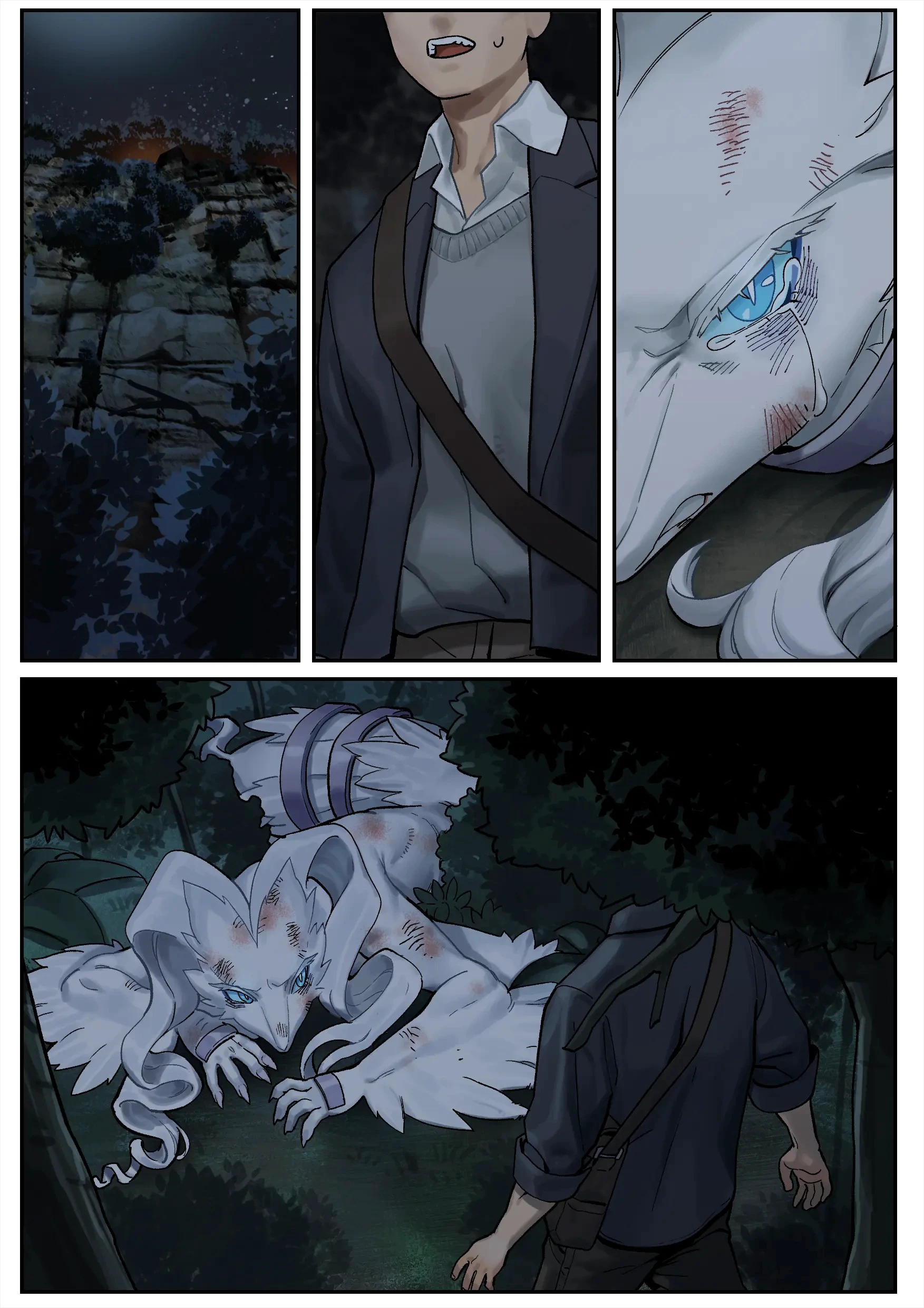 Reshiram cover