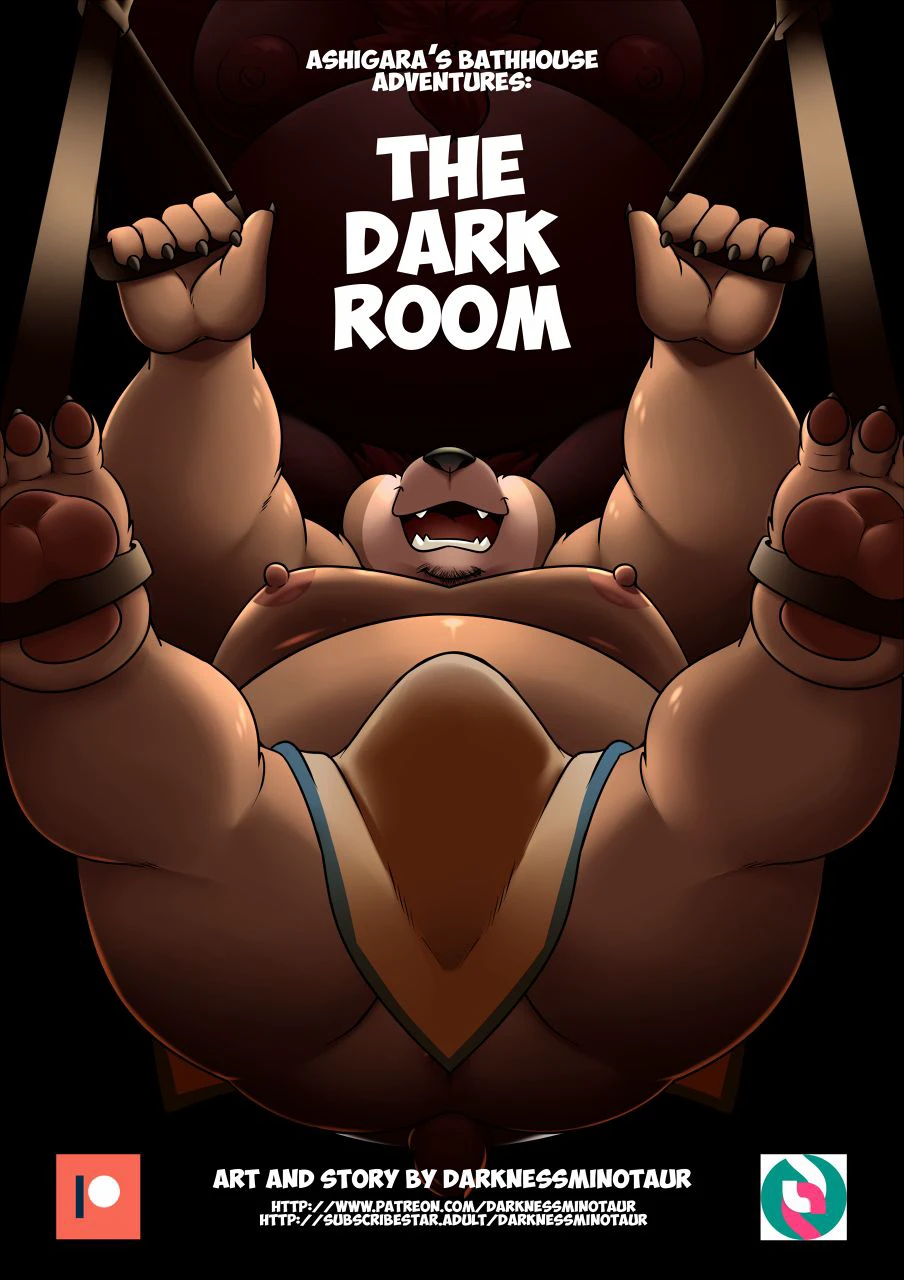 The Dark Room cover