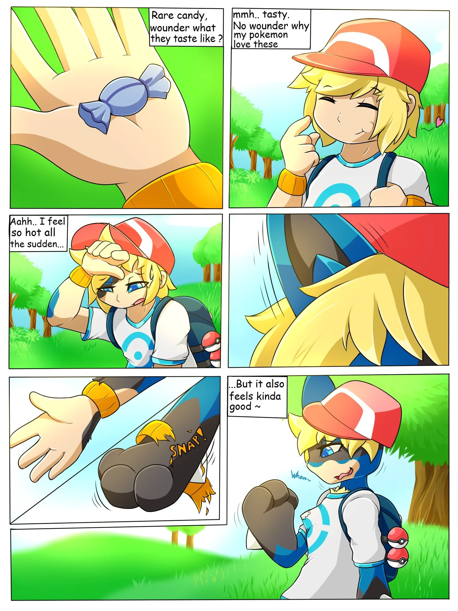 Lucario Transformation cover