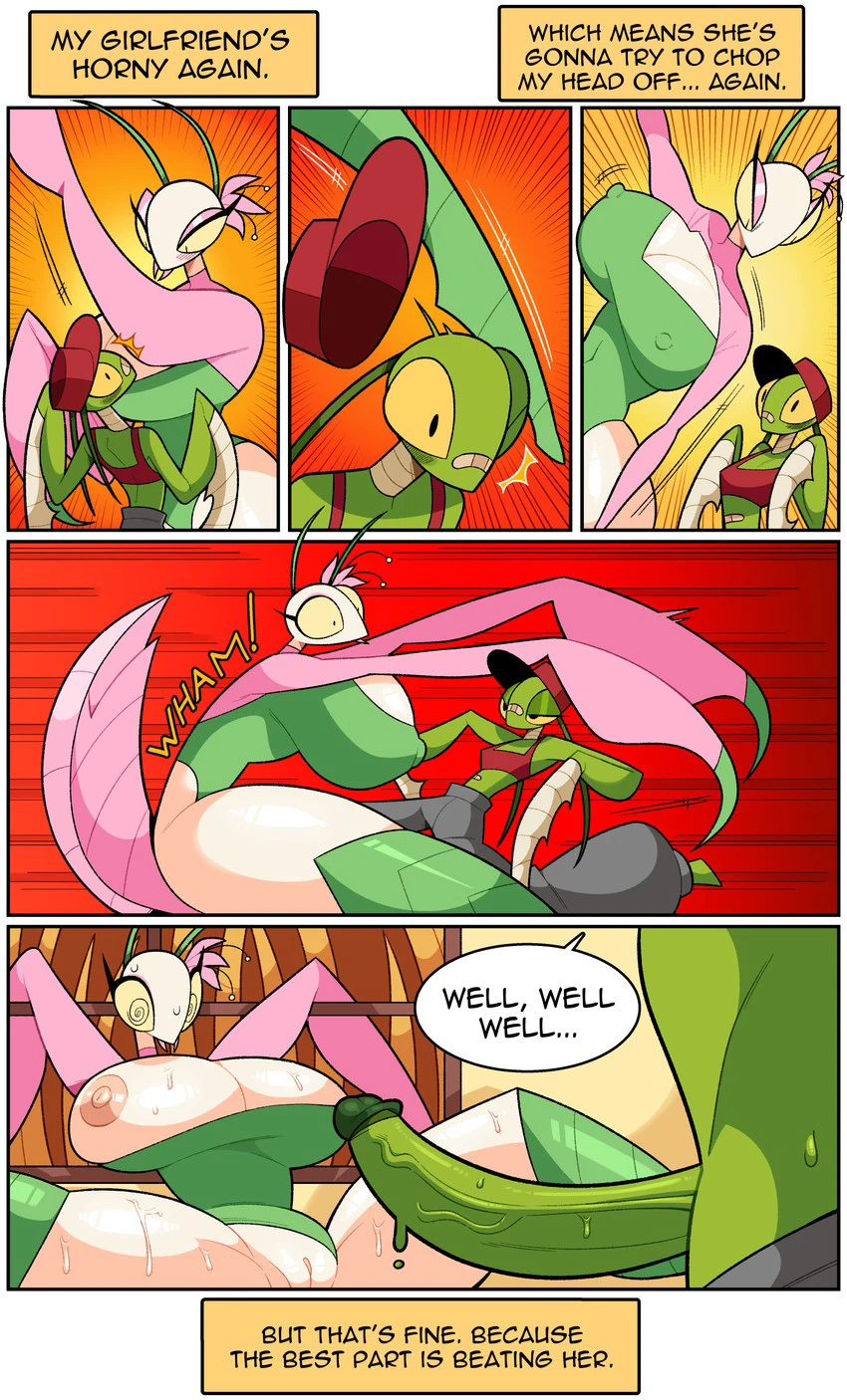 Mantis Mating cover