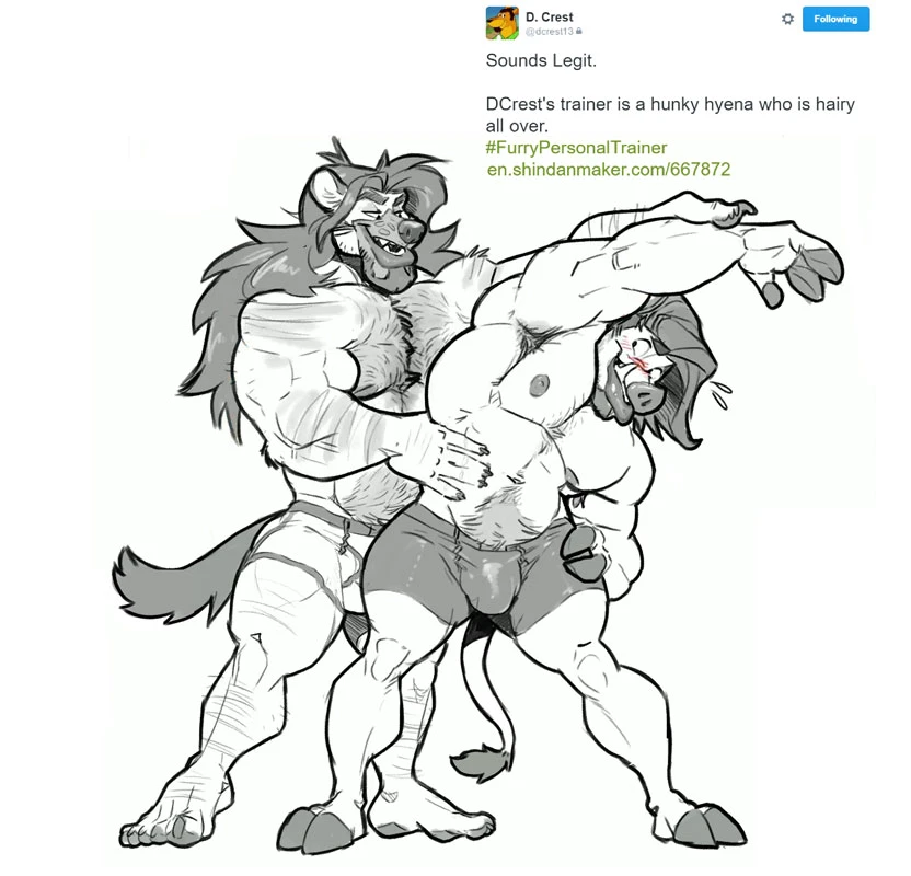 Furry Personal Trainer cover