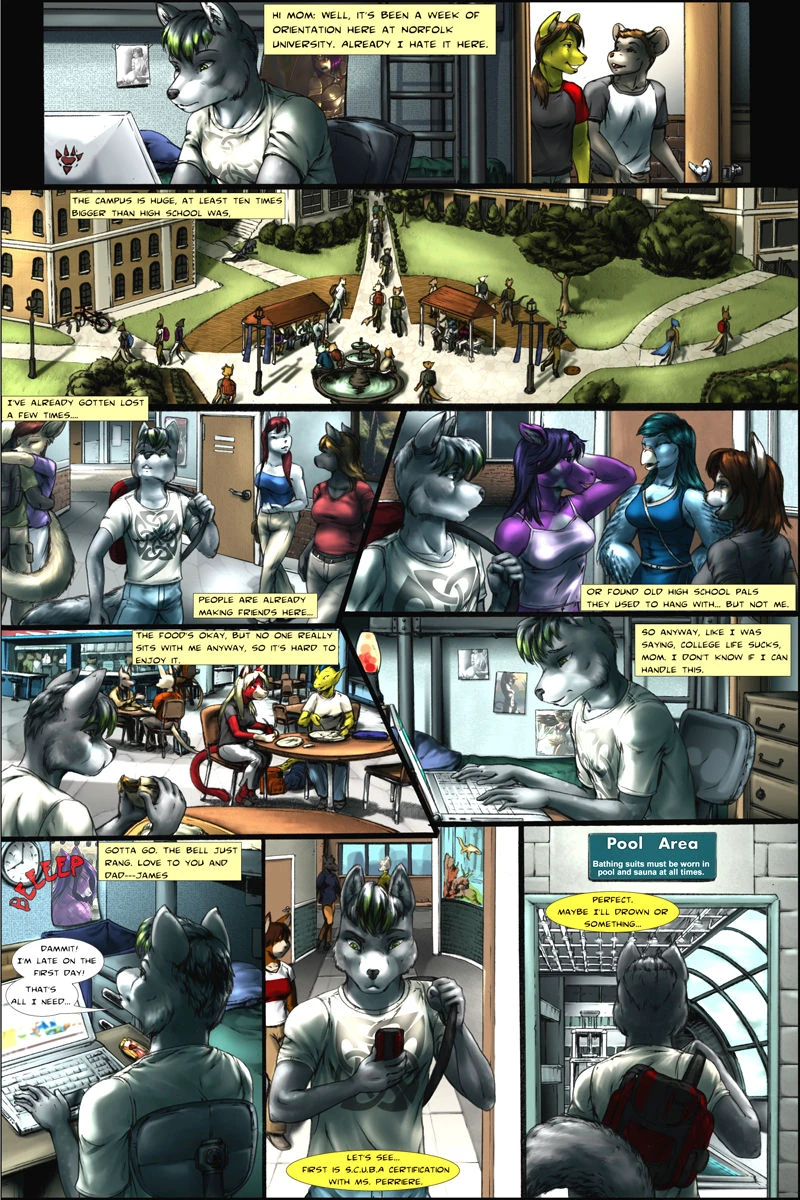 The Pet Project cover