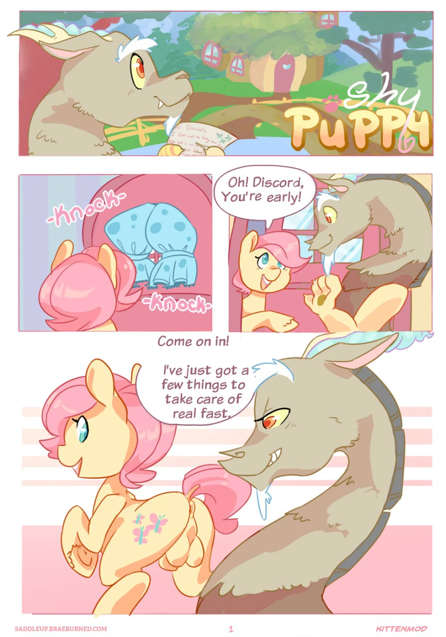 Shy Puppy cover