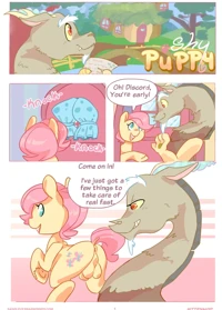 Shy Puppy