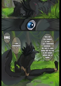 In the Jungle