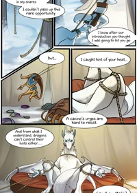 The Fox's Prey