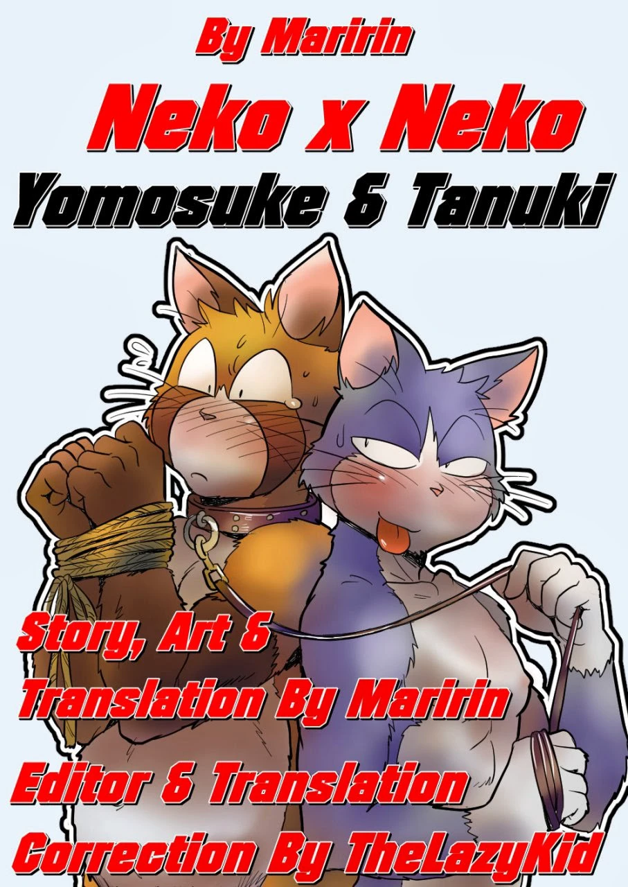 Yomosuke & Tanuki cover