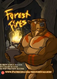 Forest Fires