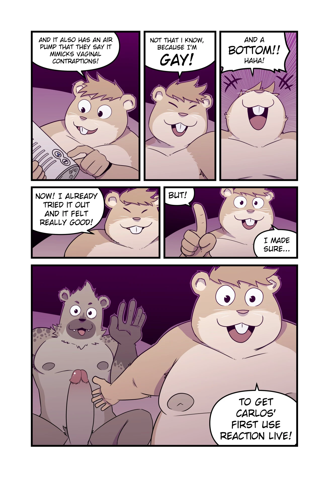 Amateur 1-5 — page 1