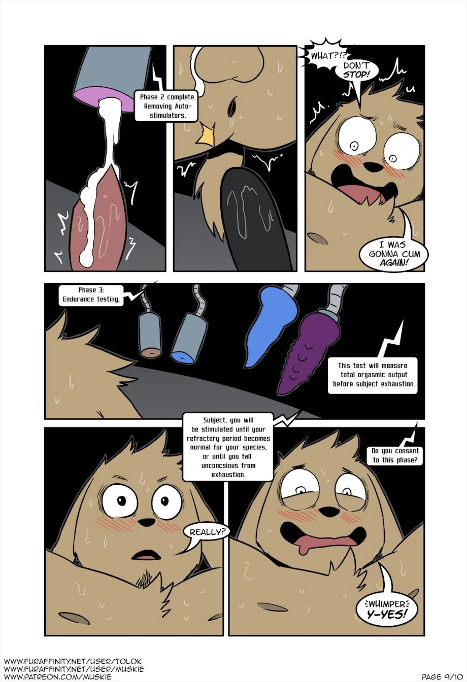 Standard Testing Procedure — page 8