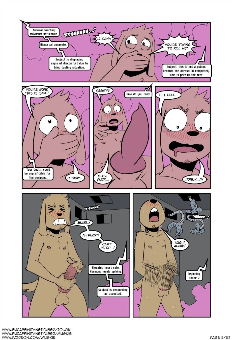 Standard Testing Procedure — page 4