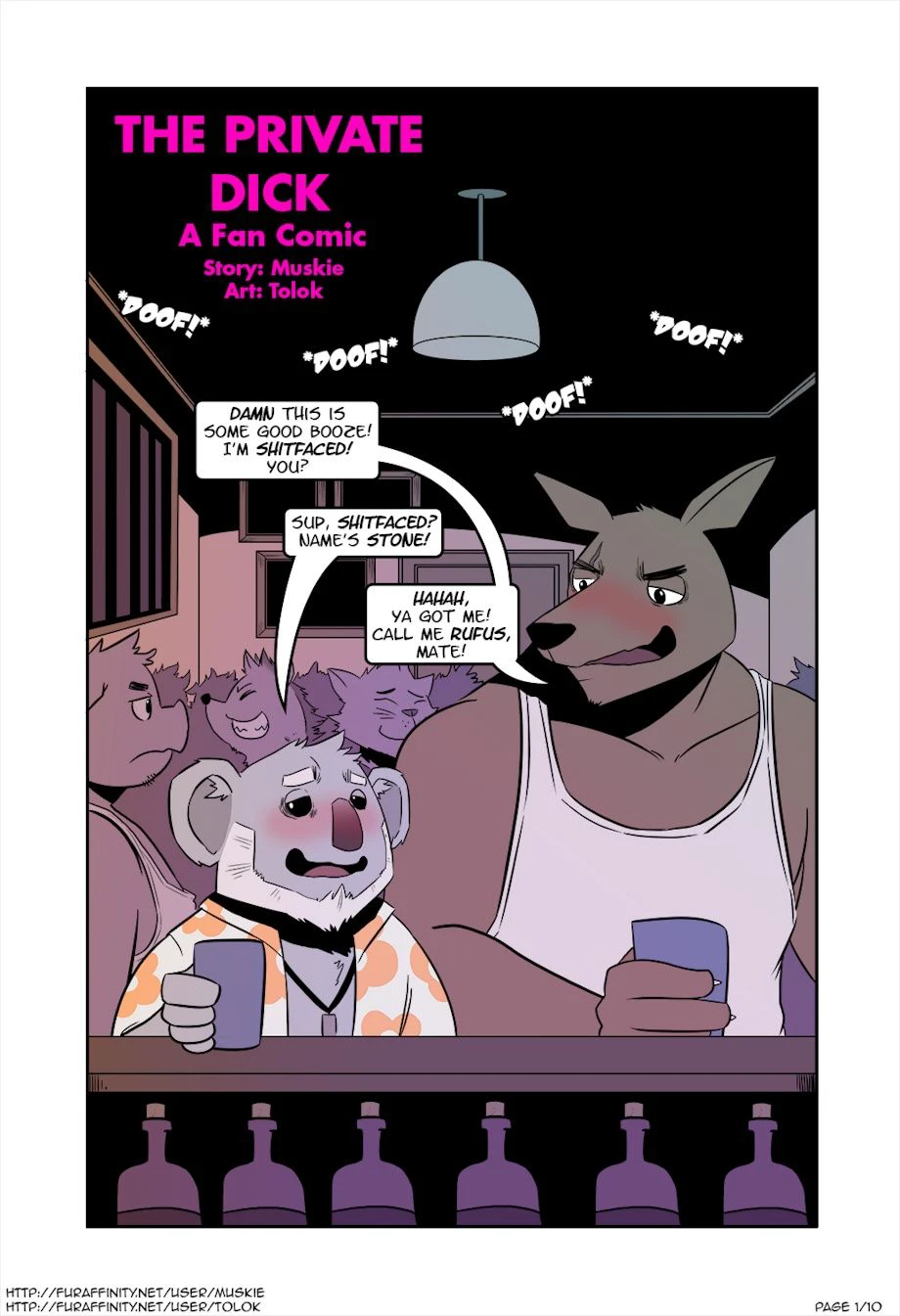The Private Dick cover